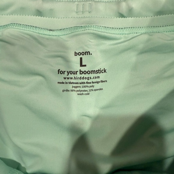 Birddogs Men's For Your Boomstick Stretch Lined Jogger Back/Teal Size Large - Picture 2 of 11